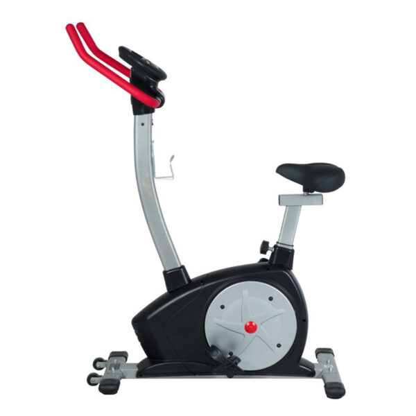 BICICLETA 1300 - Imagen 3